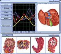 /album/fotogaleria-celkovy-stav-organizmu/oberon3-jpg/